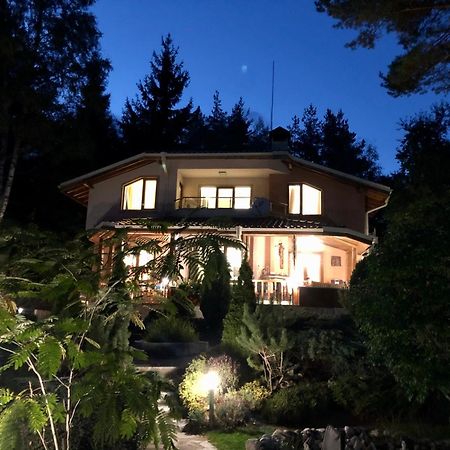 Luxury Villa Borina Zheleznitsa Zewnętrze zdjęcie