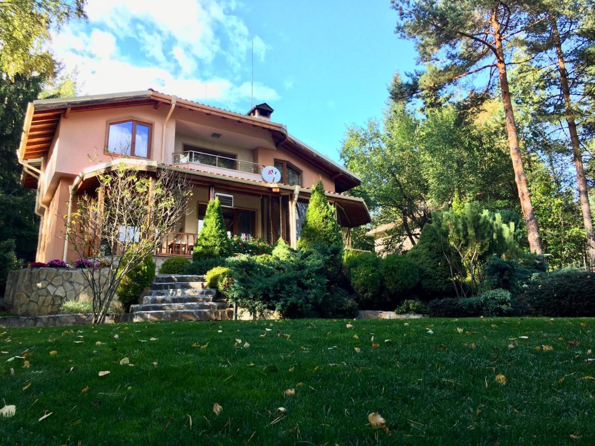 Luxury Villa Borina Zheleznitsa Zewnętrze zdjęcie