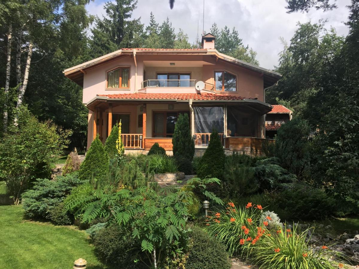 Luxury Villa Borina Zheleznitsa Zewnętrze zdjęcie