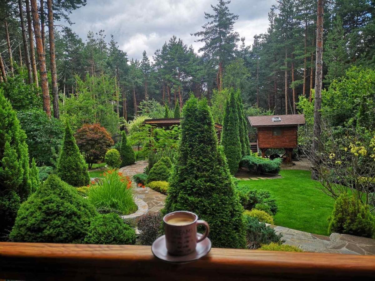 Luxury Villa Borina Zheleznitsa Zewnętrze zdjęcie