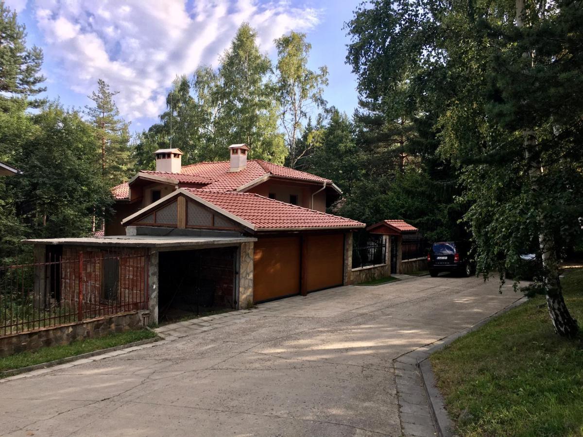 Luxury Villa Borina Zheleznitsa Zewnętrze zdjęcie