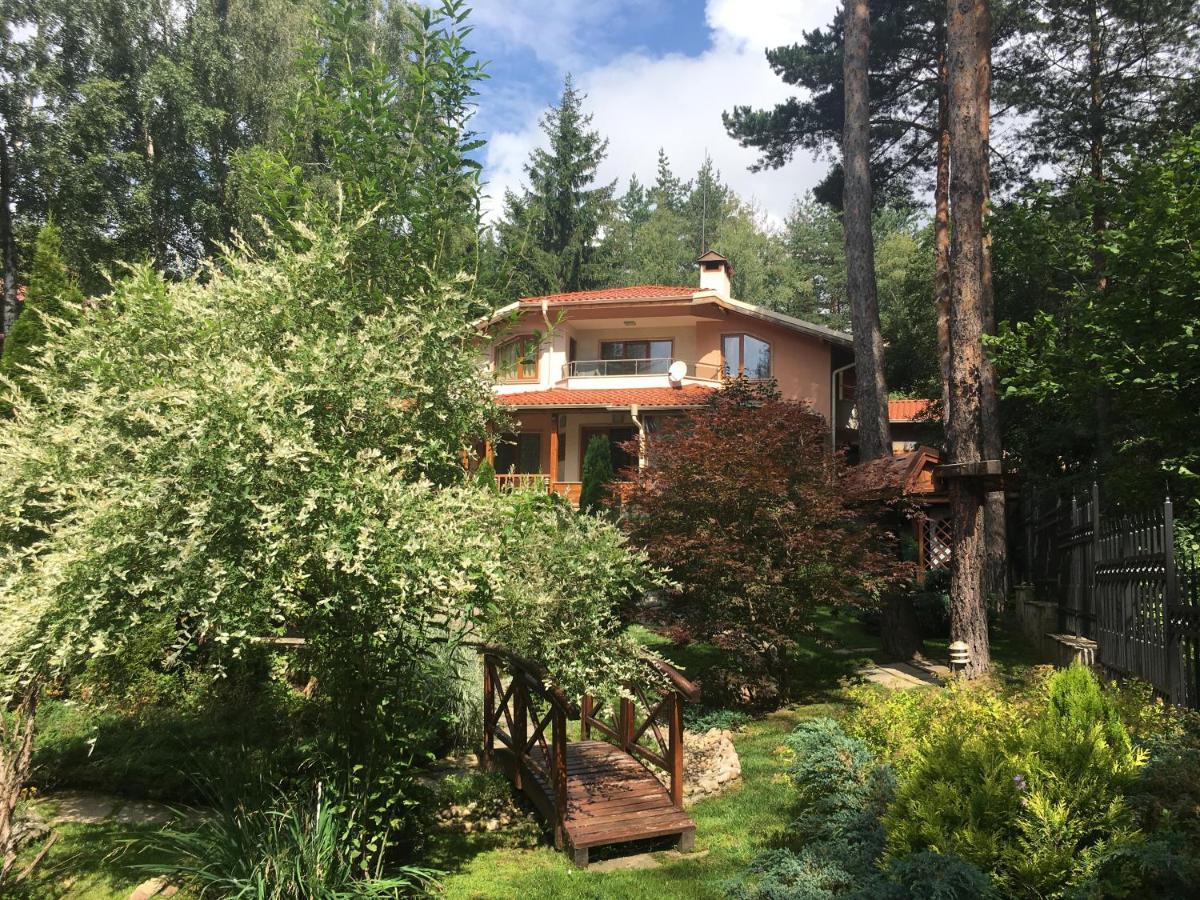 Luxury Villa Borina Zheleznitsa Zewnętrze zdjęcie