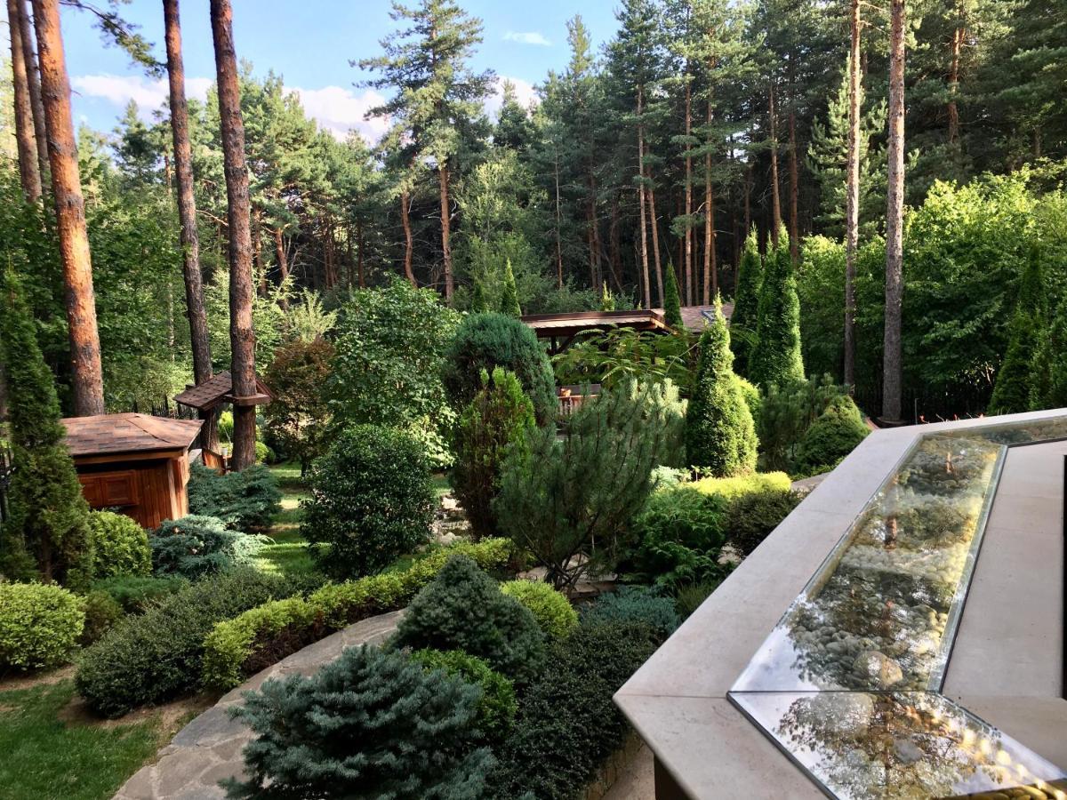 Luxury Villa Borina Zheleznitsa Zewnętrze zdjęcie