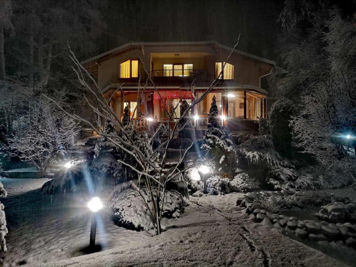 Luxury Villa Borina Zheleznitsa Zewnętrze zdjęcie