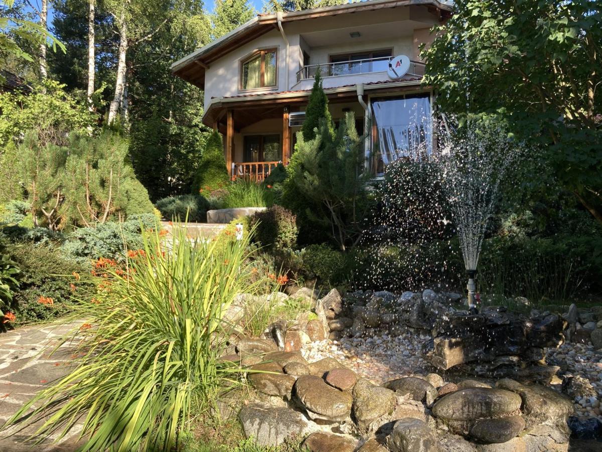Luxury Villa Borina Zheleznitsa Zewnętrze zdjęcie