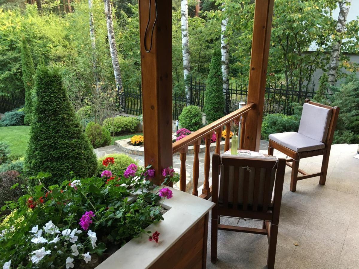 Luxury Villa Borina Zheleznitsa Zewnętrze zdjęcie
