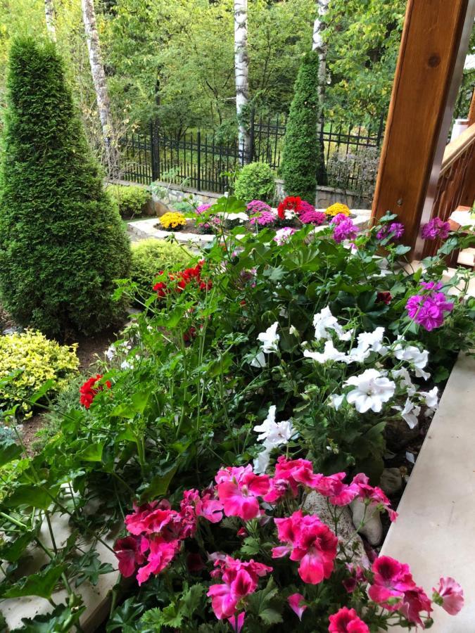 Luxury Villa Borina Zheleznitsa Zewnętrze zdjęcie