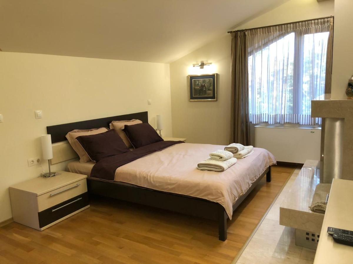 Luxury Villa Borina Zheleznitsa Zewnętrze zdjęcie