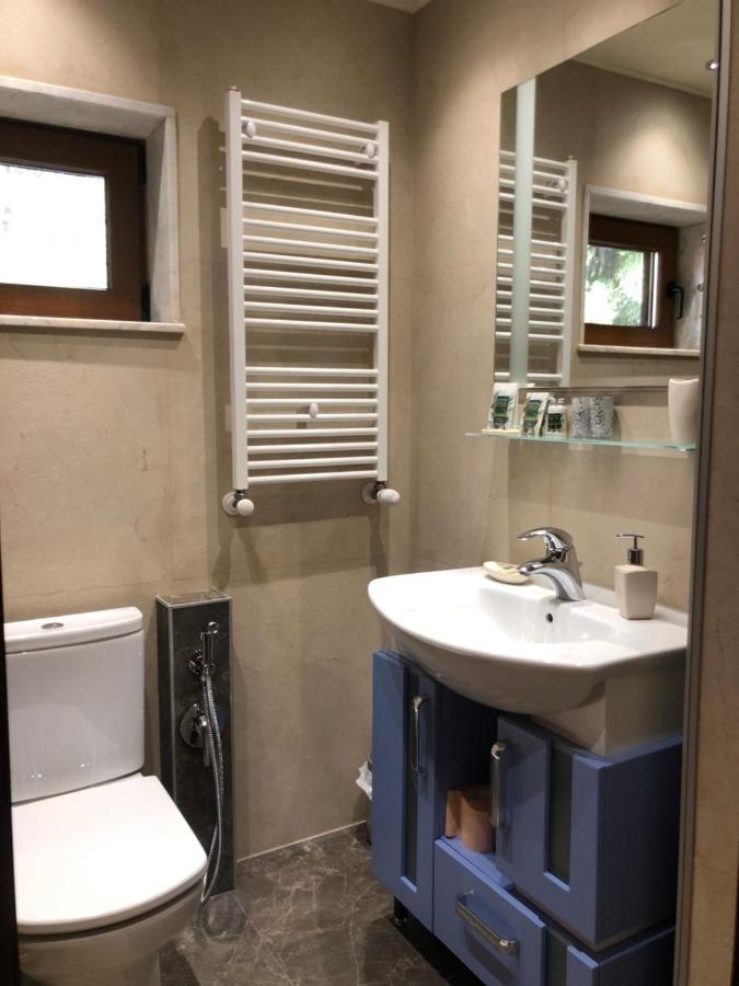 Luxury Villa Borina Zheleznitsa Zewnętrze zdjęcie