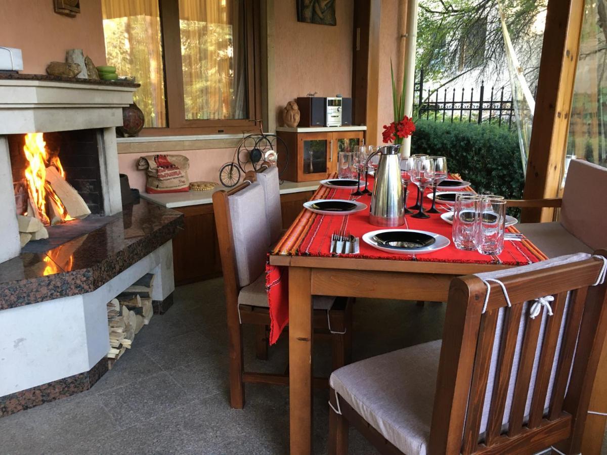 Luxury Villa Borina Zheleznitsa Zewnętrze zdjęcie
