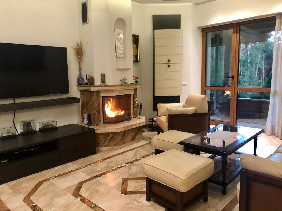 Luxury Villa Borina Zheleznitsa Zewnętrze zdjęcie