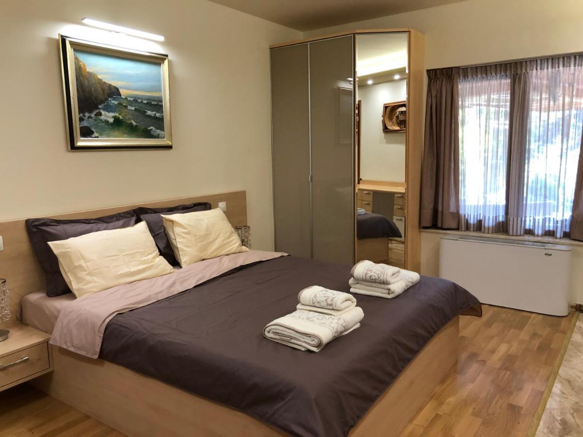Luxury Villa Borina Zheleznitsa Zewnętrze zdjęcie