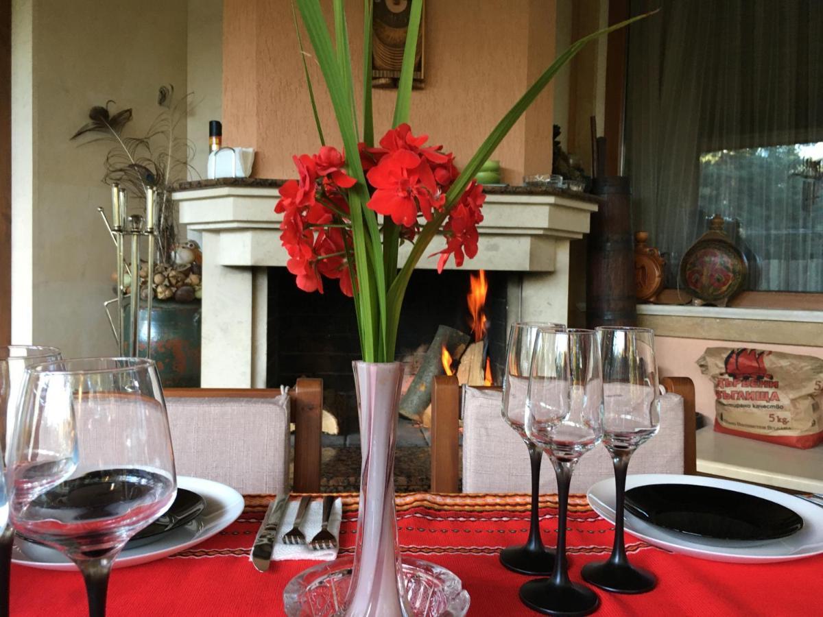 Luxury Villa Borina Zheleznitsa Zewnętrze zdjęcie