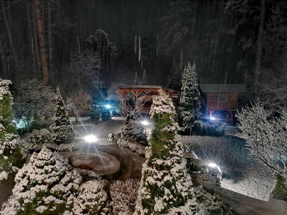 Luxury Villa Borina Zheleznitsa Zewnętrze zdjęcie